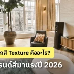 สี Texture คืออะไร เจาะลึกเทรนด์สีเทกเจอร์ อัปเดตล่าสุดปี 2026